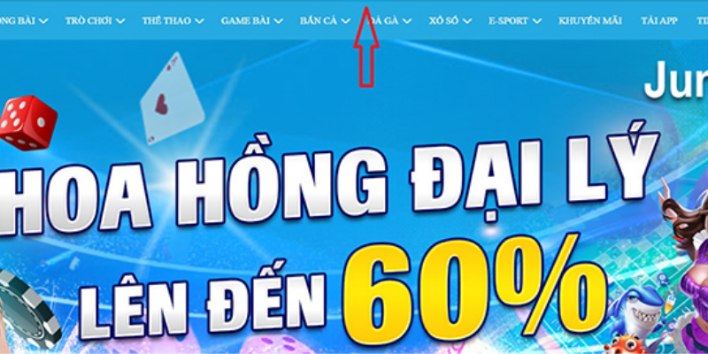 Các câu hỏi được đặt ra ở sòng bạc Flexepin 6 Thiet ke khong ten 29 2