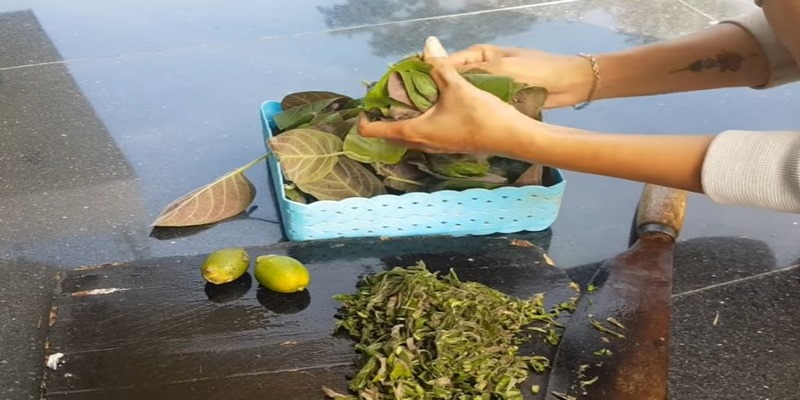 Những Cách Tẩy Giun Cho Gà Bằng Phương Pháp Dân Gian 6 Cách Tẩy Giun Cho Gà